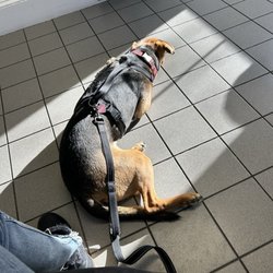 East Side Veterinary Clinic