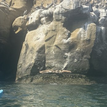 La Jolla Kayak - Tours Near Me - La Jolla, California