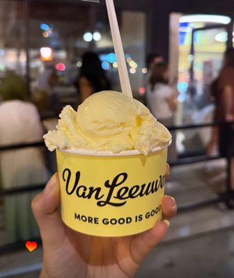 Van Leeuwen Ice Cream by null