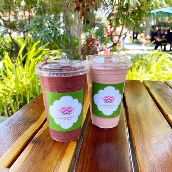 SunLife Organics - "Fountain of Youth" Smoothie - Juice Bars & Smoothies Near Me - Malibu, California SunLife Organics - "Fountain of Youth" Smoothie - Juice Bars & Smoothies Near Me - Malibu, California