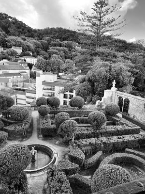 National Palace of Sintra by null