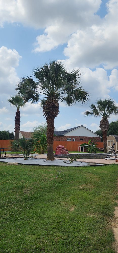 Slide of Gladiator Tree Experts & Landscaping