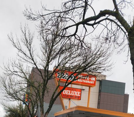 Dick's Drive-In by null