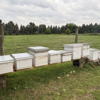 PestMaster - Pest Control Near Me - Sturtevant, Wisconsin PestMaster - Pest Control Near Me - Sturtevant, Wisconsin