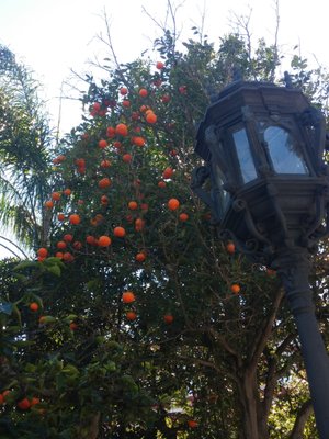 Baluarte de la Candelaria by null