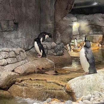 Fort Worth Zoo - Zoos Near Me - Fort Worth, Texas