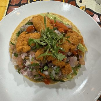 Holbox - Kanpachi & Uni Tostada - Latin American Near Me - Los Angeles, California Holbox - Kanpachi & Uni Tostada - Latin American Near Me - Los Angeles, California