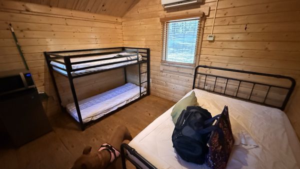 Dreher Island State Park by null