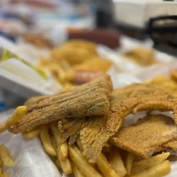 Sharks Chicken and Fish