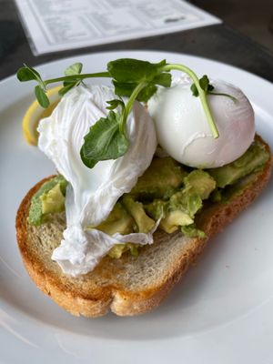 THE BUTCHER Social Club by null