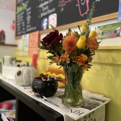 Doggology - Her Store always looks in season.