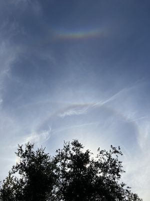 Irvine Regional Park by null