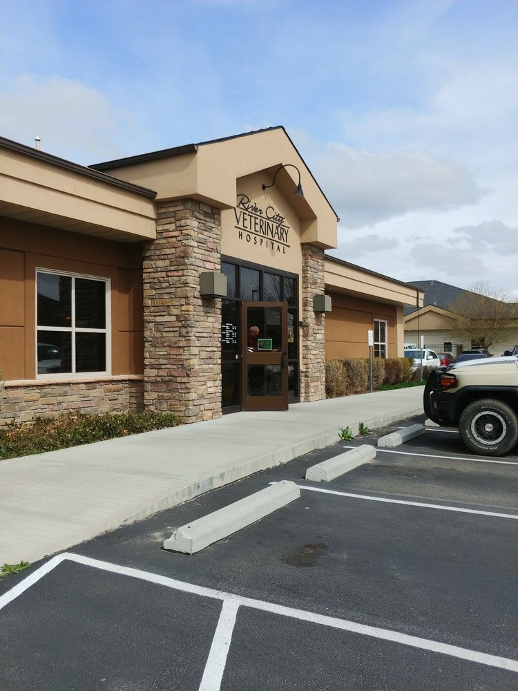 RIVER CITY VETERINARY HOSPITAL 46 Photos & 54 Reviews Veterinarians 2250 W Everest Ln