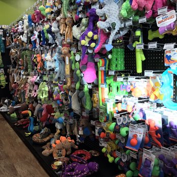Healthy Pet - North Austin - Pet Stores Near Me - Austin, Texas Healthy Pet - North Austin - Pet Stores Near Me - Austin, Texas