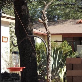 Battiste's Bed, Breakfast and Birds - Back Yard - Bed & Breakfast Near Me - Hereford, Arizona