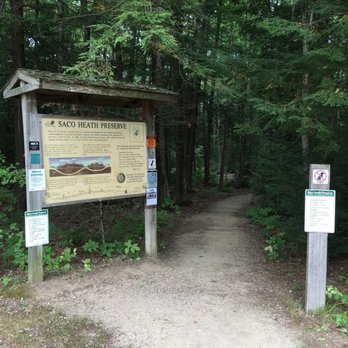 Saco Heath Preserve - Hiking Near Me - Saco, Maine