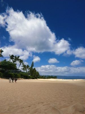 ʻEhukai Beach Park by null