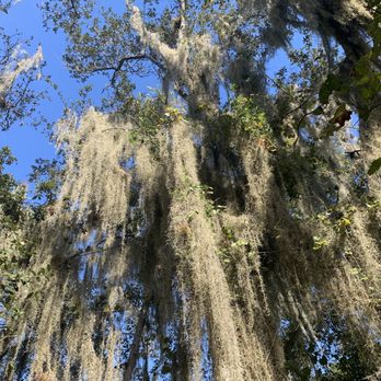 Turkey Creek Sanctuary - Parks Near Me - Palm Bay, Florida Turkey Creek Sanctuary - Parks Near Me - Palm Bay, Florida