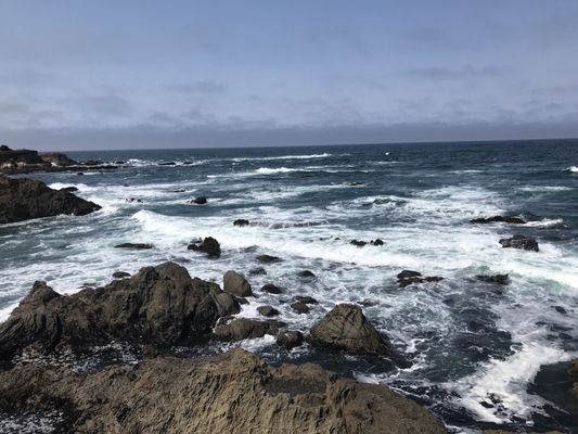 Stanford Inn & Resort on the Mendocino Coast by null