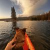 Local Tahoe Adventures gift card