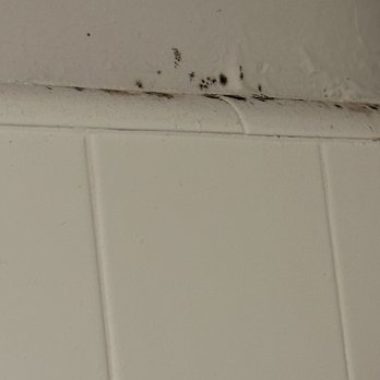JK Residential Services - Black mold in the shower - Property Management Near Me - Los Angeles, California