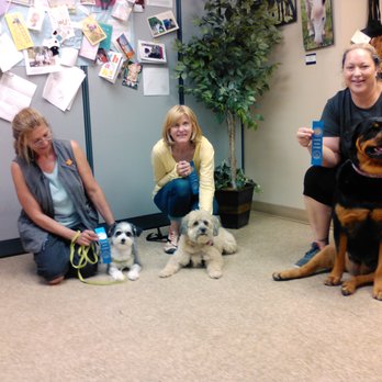 Angels In the Making - Canine Good Citizens! - Pet Training Near Me - Grand Junction, Colorado Angels In the Making - Canine Good Citizens! - Pet Training Near Me - Grand Junction, Colorado