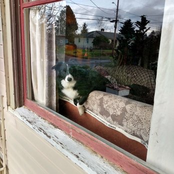 Alpine Glass Service - My personal black and white - Windows Installation Near Me - Portland, Oregon