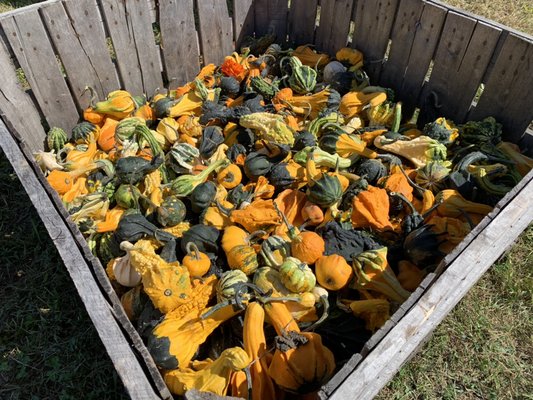 Clarke's Family Farm by null