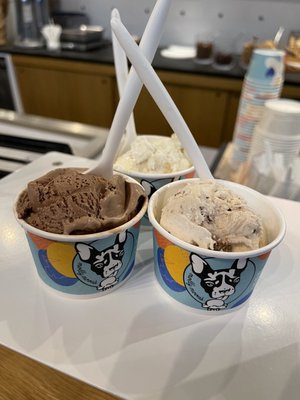 Molly Moon's Homemade Ice Cream Bellevue by null