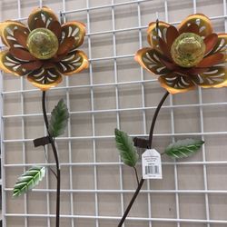 Bealls Outlet