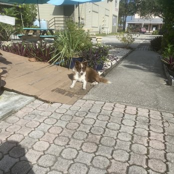 Bunkhouse Coffee Bar - Customer Greeter - Coffee & Tea Near Me - Jensen Beach, Florida Bunkhouse Coffee Bar - Customer Greeter - Coffee & Tea Near Me - Jensen Beach, Florida