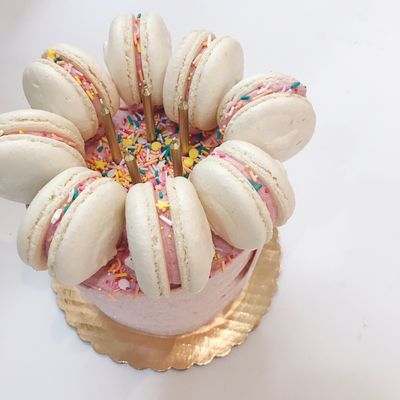 Nutmeg Cake Design by null