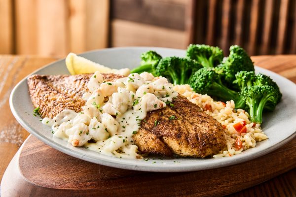 Outback Steakhouse by null