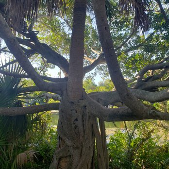 Wall Springs Park - undefined - Parks Near Me - Palm Harbor, Florida Wall Springs Park - undefined - Parks Near Me - Palm Harbor, Florida