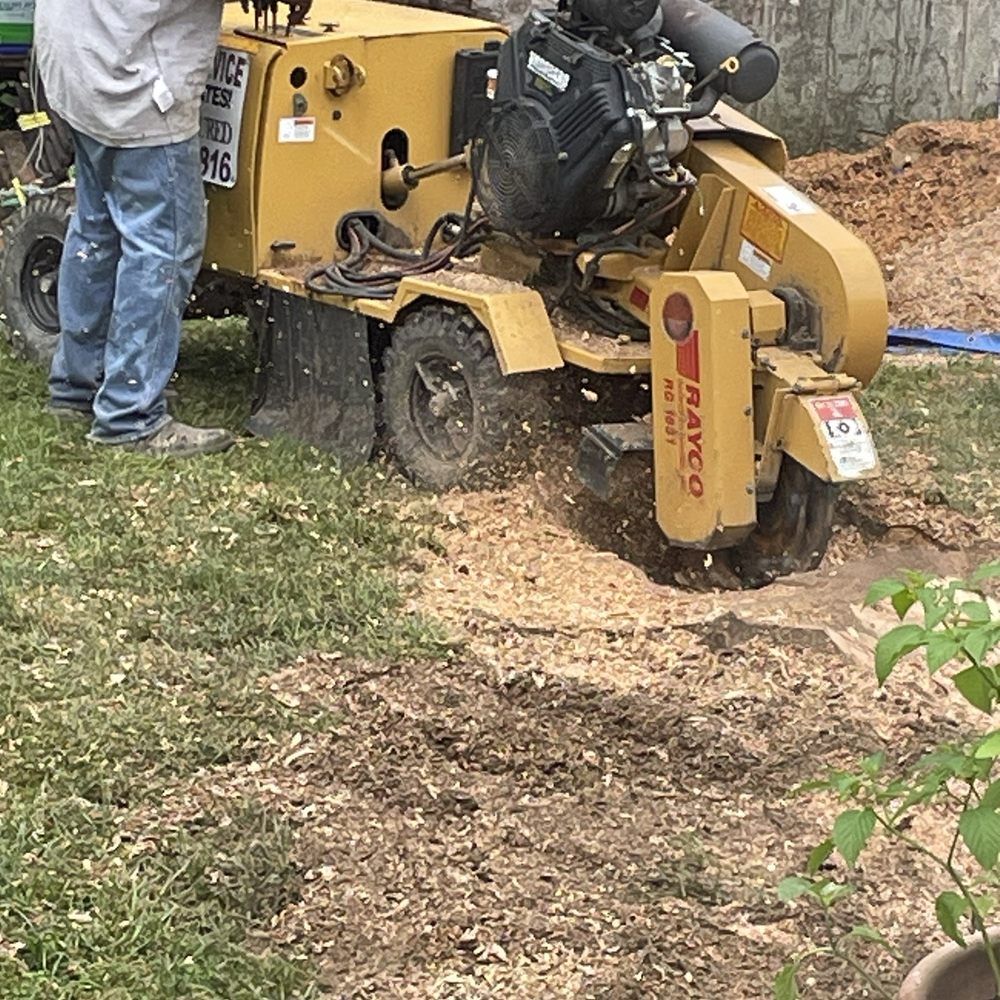 Andy's tree & landscape - JD grinding - Tree Services Near Me - Indianapolis, Indiana