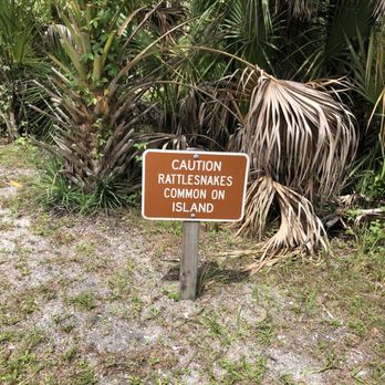 Caladesi Island State Park - Parks Near Me - Dunedin, Florida