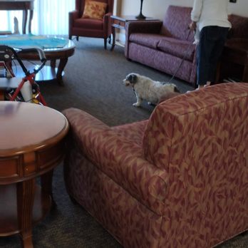 Beatitudes Campus - Pets are happily allowed! - Assisted Living Facilities Near Me - Phoenix, Arizona