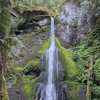 Marymere Falls - Marymere Falls - Hiking Near Me - Port Angeles, Washington