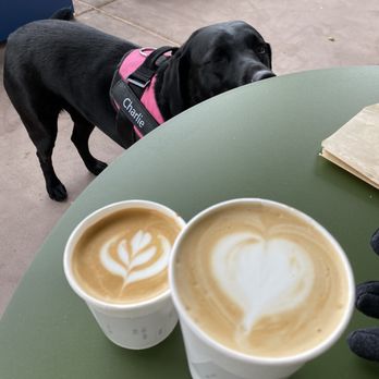 Zingara - Yummy cute coffee! - Italian Near Me - Scottsdale, Arizona Zingara - Yummy cute coffee! - Italian Near Me - Scottsdale, Arizona