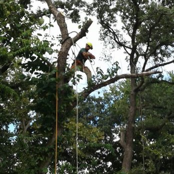 RH4 Tree Service - No job is too big! - Tree Services Near Me RH4 Tree Service - No job is too big! - Tree Services Near Me