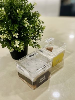 Domi by null Domi by null