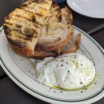 Louie - Burrata appetizer - Italian Near Me - Clayton, Missouri Louie - Burrata appetizer - Italian Near Me - Clayton, Missouri