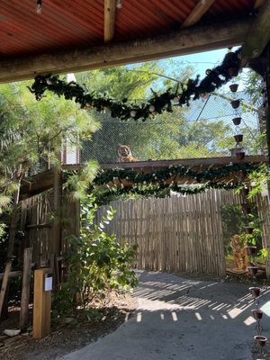 Palm Beach Zoo & Conservation Society by null