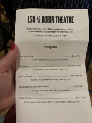 The Robin Theatre by null