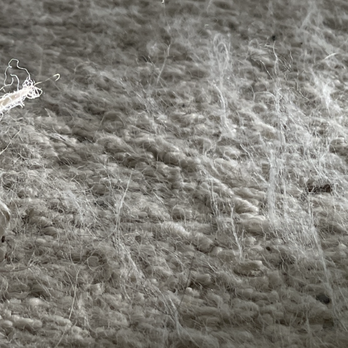 Simply Floors - seriously frayed and fuzzy - Flooring Near Me - Arvada, Colorado