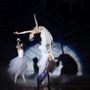Premier Ballet Conservatory
