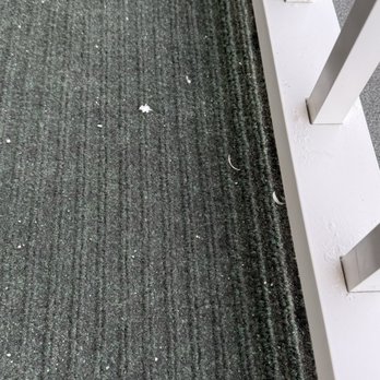 Hampton Inn & Suites Myrtle Beach/Oceanfront - Nasty toe nail clippings - Hotels Near Me - Myrtle Beach, South Carolina