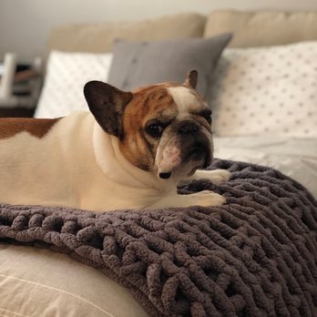 TrueCare for pets - Veterinarians Near Me - Studio City, California