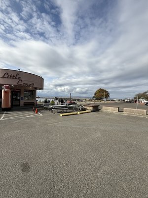 Little Coney by null