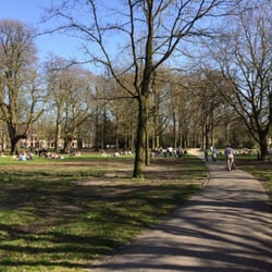 Haarlemmerhout